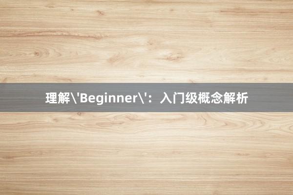 理解'Beginner'：入门级概念解析